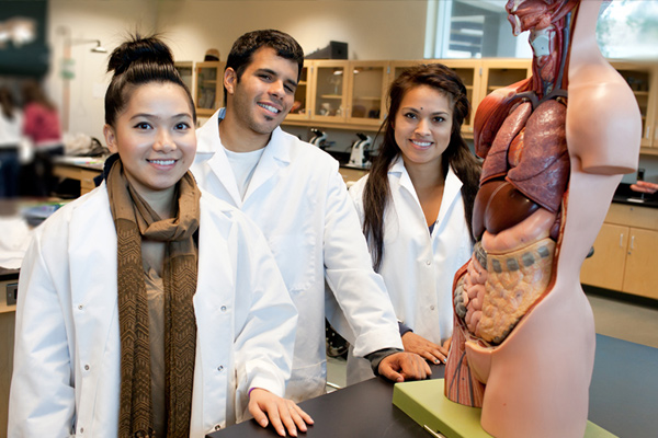 Students in laboratory class