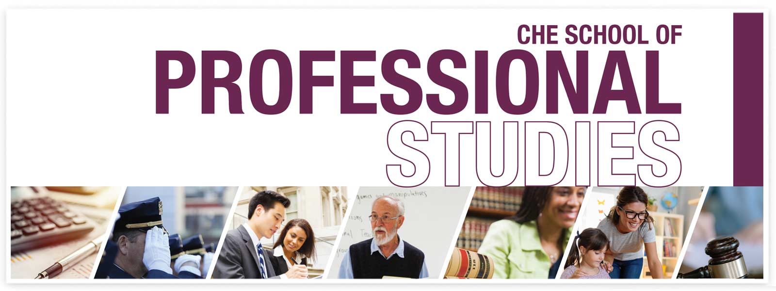 Collage of Che School of Professional Studies programs