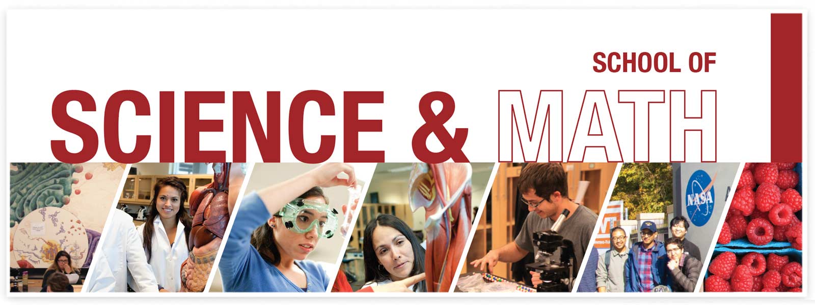 Collage of Science and Math programs